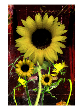 Sunflower I by Miguel Paredes Pricing Limited Edition Print image