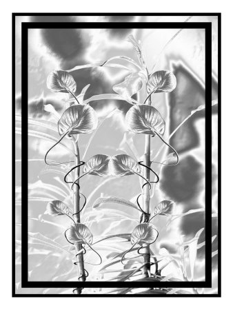 Wicked Flowers by Miguel Paredes Pricing Limited Edition Print image