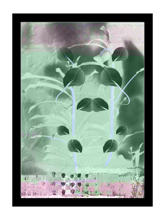 Intertwine Xii by Miguel Paredes Pricing Limited Edition Print image
