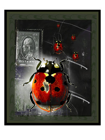 Lady Bug Ii by Miguel Paredes Pricing Limited Edition Print image