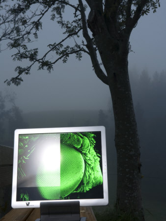 A Flat Panel Display Shows An Electron Micrograph Of A Moth's Eye by Robert Clark Pricing Limited Edition Print image