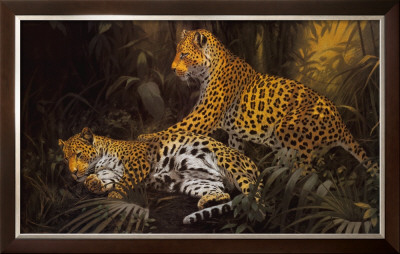 Jungle Play by Kim Donaldson Pricing Limited Edition Print image