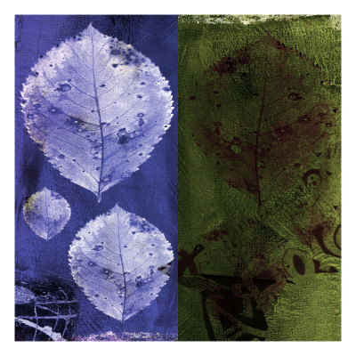 Green & Blue Leaves by Miguel Paredes Pricing Limited Edition Print image