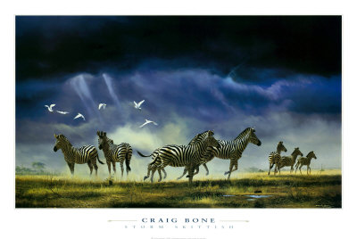 Storm Skittish by Craig Bone Pricing Limited Edition Print image