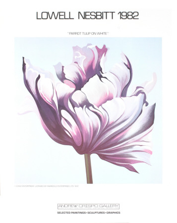 Parrot Tulip On White by Lowell Nesbitt Pricing Limited Edition Print image