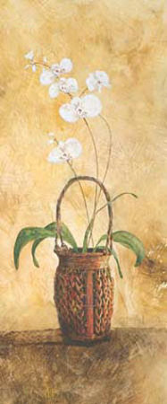 Bamboo Basket With Orchids Ii by David Nichols Pricing Limited Edition Print image