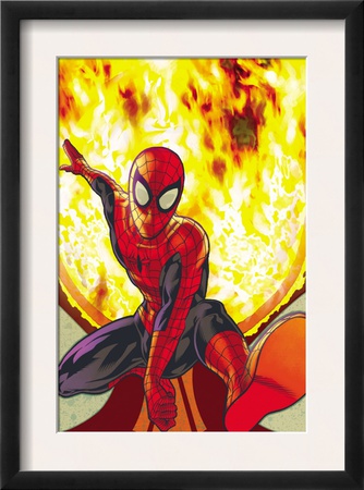 Spider-Man: With Great Power&#3 Cover: Spider-Man by Tony Harris Pricing Limited Edition Print image