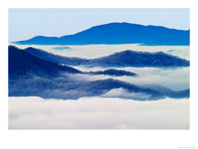 Deep Creek Valley, Great Smoky Mountains National Park, North Carolina, Usa by Adam Jones Pricing Limited Edition Print image
