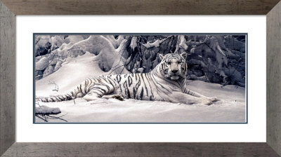 White Tiger by Daniel Smith Pricing Limited Edition Print image