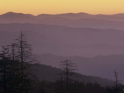 Multiple Ridges Of The Appalachian Mountains At Twilight Seen From Clingman's Dome by Adam Jones Pricing Limited Edition Print image