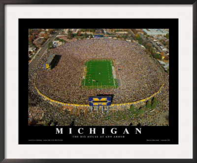 University Of Michigan - Michigan by Mike Smith Pricing Limited Edition Print image