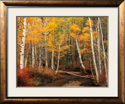 Aspen Tranquility by William Neill Pricing Limited Edition Print image