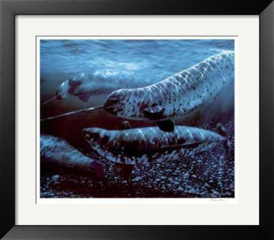 Narwhales by Bruce Muir Pricing Limited Edition Print image
