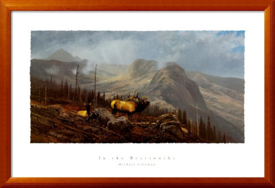In The Beartooths by Michael Coleman Pricing Limited Edition Print image
