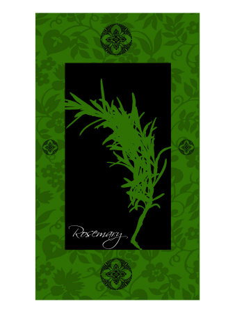Rosemary Ii by Miguel Paredes Pricing Limited Edition Print image