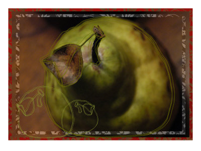 Pear Lines Ii by Miguel Paredes Pricing Limited Edition Print image