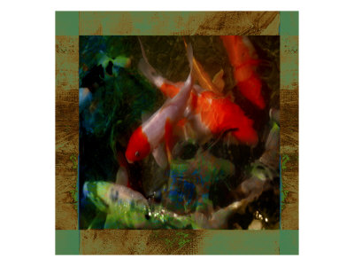 Koi Fish Ii by Miguel Paredes Pricing Limited Edition Print image