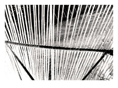 Bamboo Leaves Ii by Miguel Paredes Pricing Limited Edition Print image