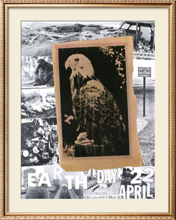 Earth Day by Robert Rauschenberg Pricing Limited Edition Print image