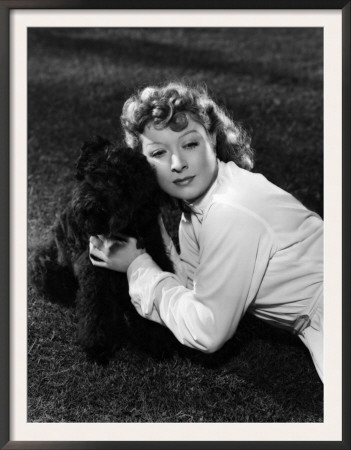 Greer Garson Posing With French Poodle, Coco, 1939 by Clarence Sinclair Bull Pricing Limited Edition Print image