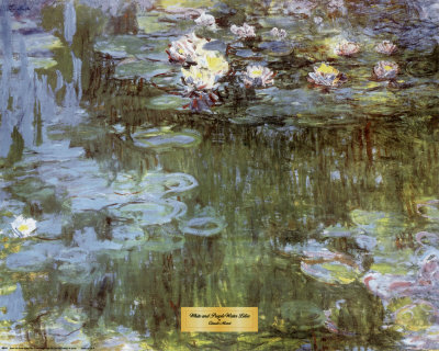 White And Purple Water Lilies by Claude Monet Pricing Limited Edition Print image