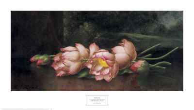 Lotus Flowers by Martin Johnson Heade Pricing Limited Edition Print image