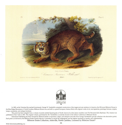 Wildcat by John James Audubon Pricing Limited Edition Print image