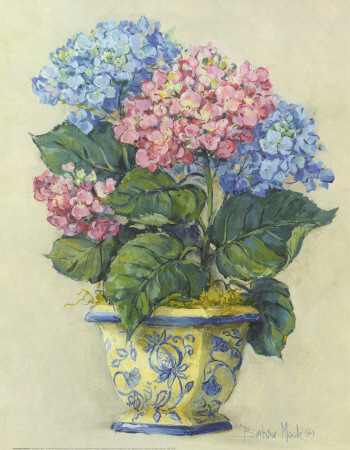 Hydrangea Blooms I by Barbara Mock Pricing Limited Edition Print image