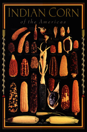 Indian Corn Of The Americas-Blk by Mark Miller Pricing Limited Edition Print image