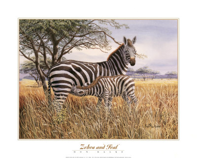 Zebra And Foal by Don Balke Pricing Limited Edition Print image