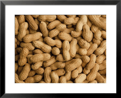 Peanuts In Shells by Richard Harris Pricing Limited Edition Print image