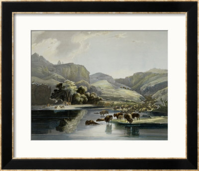Herds Of Bison And Elk On The Upper Missouri by Karl Bodmer Pricing Limited Edition Print image