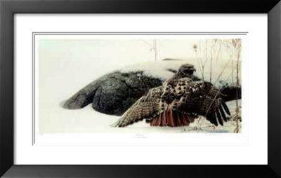 Mantling - Red-Tailed Hawk by George Mclean Pricing Limited Edition Print image