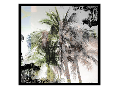 Tropical Palms Xii by Miguel Paredes Pricing Limited Edition Print image