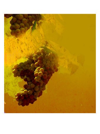 Grape Iii by Miguel Paredes Pricing Limited Edition Print image