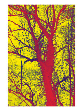 Abstract Trees Vii by Miguel Paredes Pricing Limited Edition Print image