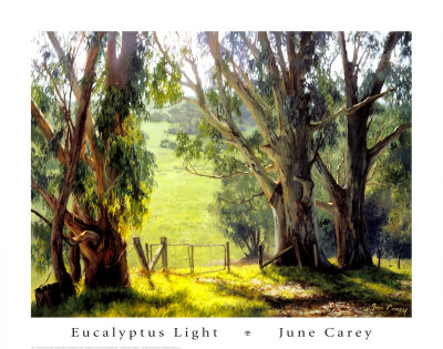 Eucalyptus Light by June Carey Pricing Limited Edition Print image