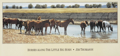 Horses Along The Little Big Horn by Jim Thomason Pricing Limited Edition Print image