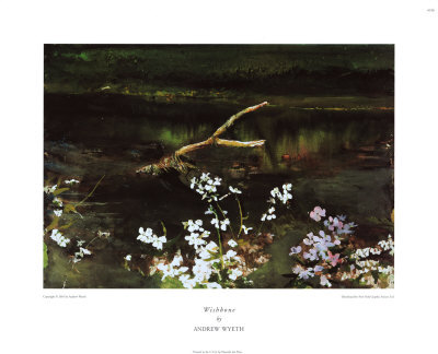 Wishbone by Andrew Wyeth Pricing Limited Edition Print image