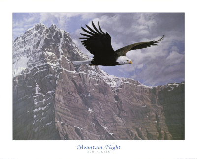 Mountain Flight by Ron Parker Pricing Limited Edition Print image