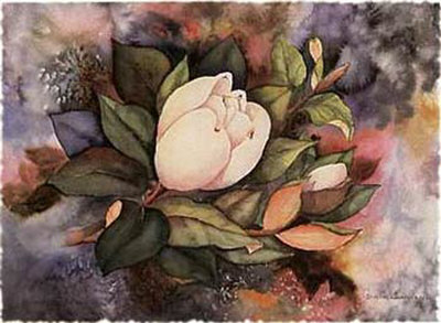 Magnolia, Budding by Janice Sumler Pricing Limited Edition Print image