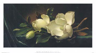 Magnolia Blossom On Blue Velvet by Martin Johnson Heade Pricing Limited Edition Print image