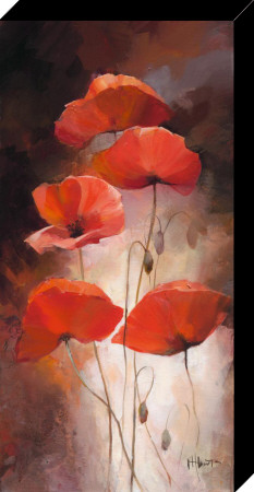 Poppy Bouquet Ii by Willem Haenraets Pricing Limited Edition Print image