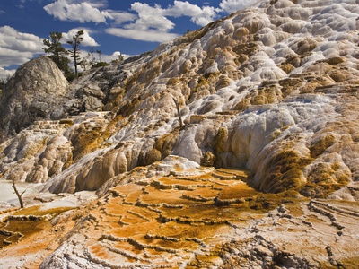 Travertine Terraces At Mammoth Hot Springs, Yellowstone National Park, Wyoming, Usa by Adam Jones Pricing Limited Edition Print image