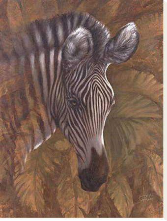 Safari Zebra by Joe Sambataro Pricing Limited Edition Print image