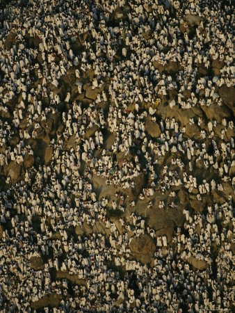 Aerial View Of Worshippers At The Numruh Mosque In Arafat by Reza Pricing Limited Edition Print image