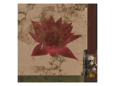 Fresco Lotus Iii by Miguel Paredes Pricing Limited Edition Print image