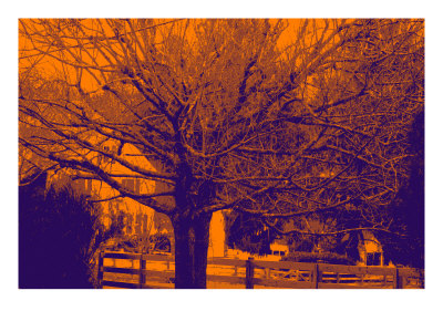 Country Side X by Miguel Paredes Pricing Limited Edition Print image