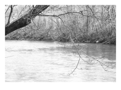 River Ii by Miguel Paredes Pricing Limited Edition Print image
