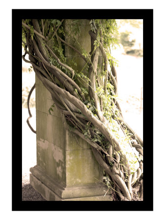 Pillar Ii by Miguel Paredes Pricing Limited Edition Print image